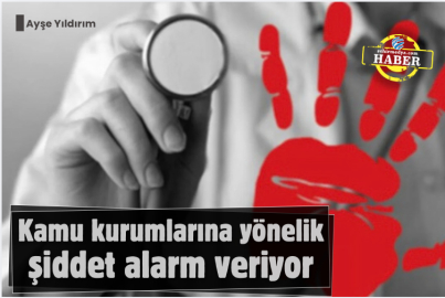 Kamu kurumlarına yönelik şiddet alarm veriyor