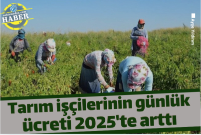 Tarım işçilerinin günlük ücreti 2025'te arttı