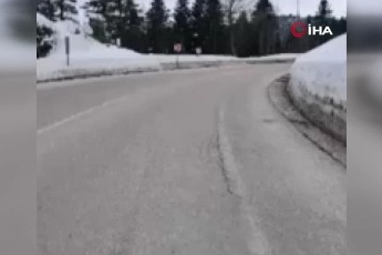 Uludağ'da tilkiye çarpan otomobil kaçtı!