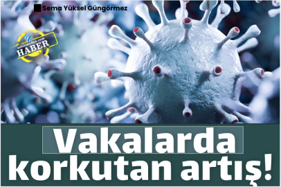 Vakalarda korkutan artış!