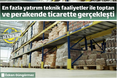 En fazla yatırım teknik faaliyetler ile toptan ve perakende ticarette gerçekleşti