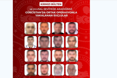 Kırmızı bültenle aranan 13, ulusal seviyede aranan 3 kişi Gürcistan'da yakalandı