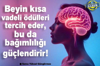 Beyin kısa vadeli ödülleri tercih eder, bu da bağımlılığı güçlendirir!