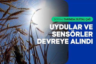 AB'de tarımsal faaliyetler, akıllı tarım ve dijital teknolojilerle yeniden şekilleniyor