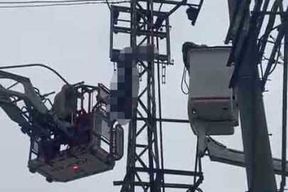 Hırsızlık için çıktığı elektrik direği sonu oldu