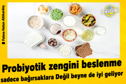 Probiyotik Zengini Beslenme Sadece Bağırsaklara Değil Beyne de İyi Geliyor 