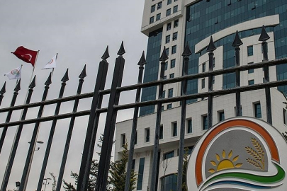 Tahıl tohumluklarının sertifikasyon işlemleri Tohumluk Yönetim Sistemi üzerinden yürütülecek