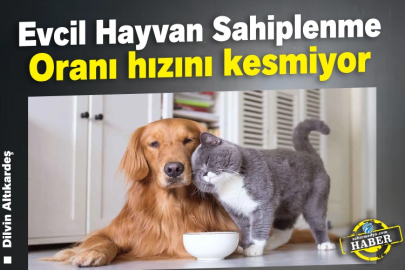 Evcil hayvan sahiplenme oranı hızını kesmiyor