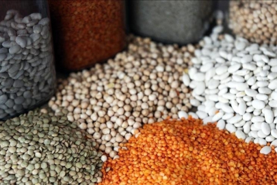 Güneydoğu Anadolu'dan yılın ilk 2 ayında 552,8 milyon dolarlık hububat ihracatı yapıldı