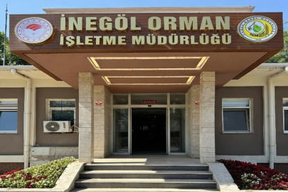 Orman emvali istifleme hizmeti alınacaktır