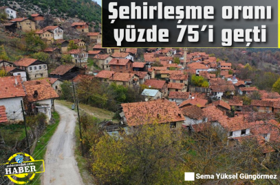 Şehirleşme oranı yüzde 75’i geçti