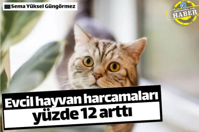 Evcil hayvan harcamaları yüzde 12 arttı