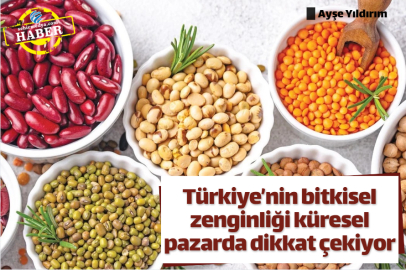 Türkiye’nin bitkisel zenginliği küresel pazarda dikkat çekiyor