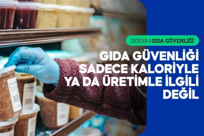 Üretim odaklı küresel gıda sistemi, halk sağlığını göz ardı ediyor