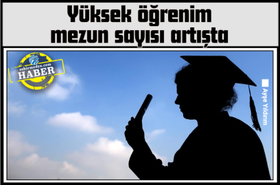 Yüksek öğrenim mezun sayısı artışta