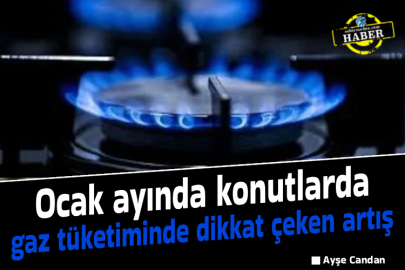 Ocak ayında konutlarda gaz tüketiminde dikkat çeken artış