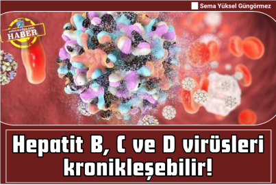Hepatit B, C ve D virüsleri kronikleşebilir!