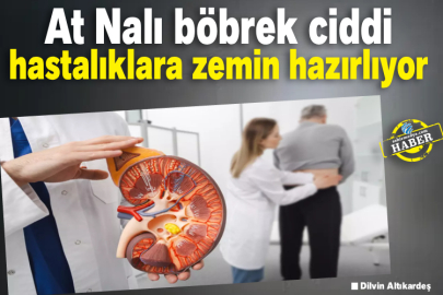 At Nalı Böbrek Ciddi Hastalıklara Zemin Hazırlıyor