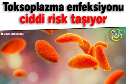 Toksoplazma enfeksiyonu ciddi risk taşıyor