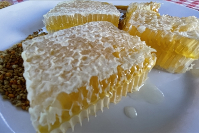 AB'den coğrafi tescil alan Yenice ıhlamur balı markalaşma yolunda ilerleyecek