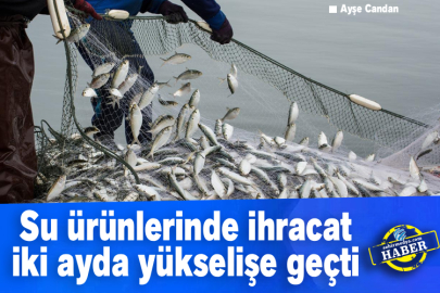 Su ürünlerinde ihracat iki ayda yükselişe geçti