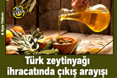 Türk zeytinyağı ihracatında çıkış arayışı