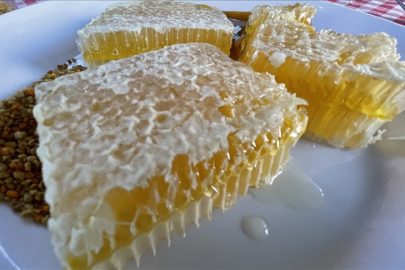 AB'den coğrafi tescil alan Yenice ıhlamur balı markalaşma yolunda ilerleyecek