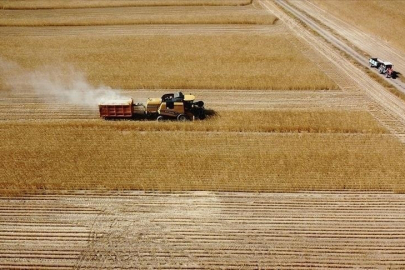 Çiftçilere 8,7 milyar lira tarımsal destekleme ödemesi bugün yapılacak