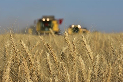 TÜİK 2024-2025 dönemi bitkisel ürün denge tablolarını açıkladı