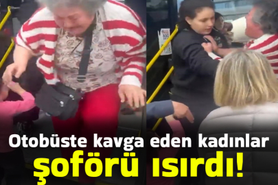 Bursa'da otobüste kavga eden kadınlar şoförü ısırdı!