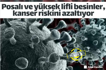 Posalı ve yüksek lifli besinler, kanser riskini azaltıyor