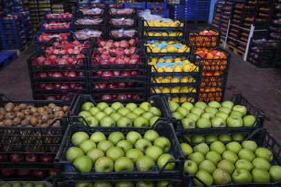 Hal işlemlerinde çifte fatura ve düşük fiyat bildirimiyle vergi kaybı tespit edildi