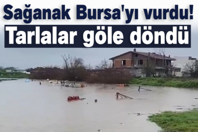 Sağanak Bursa'yı vurdu! Tarlalar göle döndü