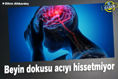 Beyin dokusu acıyı hissetmiyor
