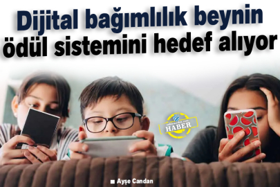 Dijital Bağımlılık Beynin Ödül Sistemini Hedef Alıyor