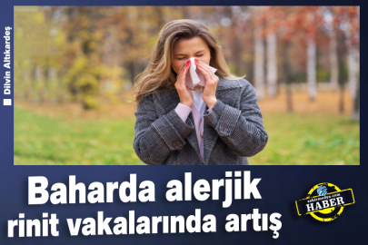 Baharda alerjik rinit vakalarında artış 
