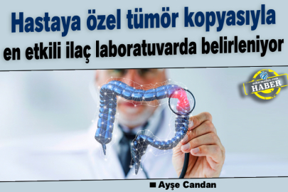 Hastaya özel tümör kopyasıyla en etkili ilaç laboratuvarda belirleniyor
