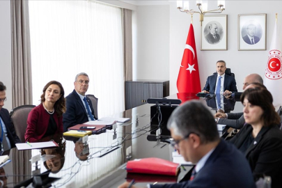 Bakan Fidan, İngiltere tarafından düzenlenen "Hürmüz Boğazı"na ilişkin çevrimiçi toplantıda yer aldı