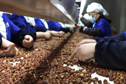 Kadın çalışanlar ihracata en fazla katkıyı Giresun'dan sağladı