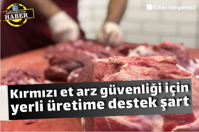 Kırmızı et arz güvenliği için yerli üretime destek şart