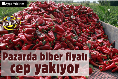 Pazarda biber fiyatı cep yakıyor