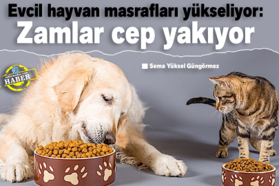 Evcil hayvan masrafları yükseliyor: Zamlar cep yakıyor