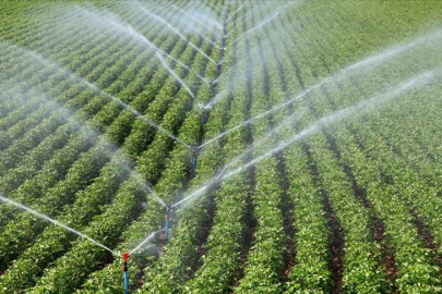 Tasarruflu tarımsal sulama yatırımlarına yüzde 50 ile 70 arasında hibe desteği verilecek