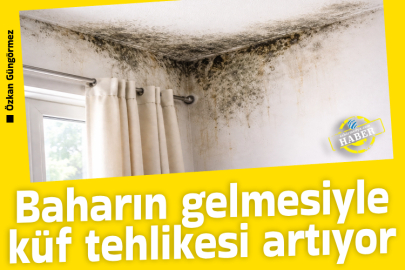 Baharın gelmesiyle küf tehlikesi artıyor