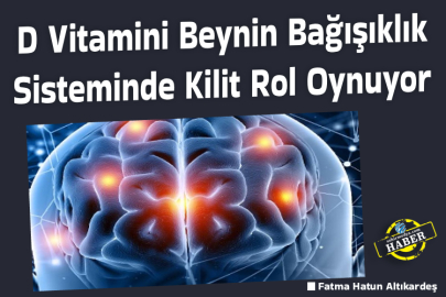 D Vitamini Beynin Bağışıklık Sisteminde Kilit Rol Oynuyor