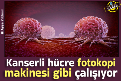 Kanserli hücre fotokopi makinesi gibi çalışıyor