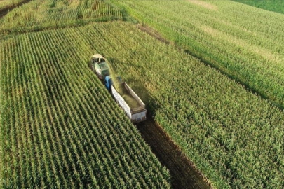 Tarım arazilerinin korunması ve kullanılmasına ilişkin esaslar düzenlendi