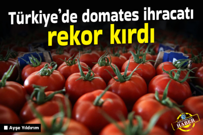 Türkiye’de domates ihracatı rekor kırdı