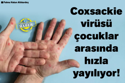 Coxsackie virüsü çocuklar arasında hızla yayılıyor!