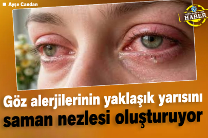 Göz alerjilerinin yaklaşık yarısını saman nezlesi oluşturuyor